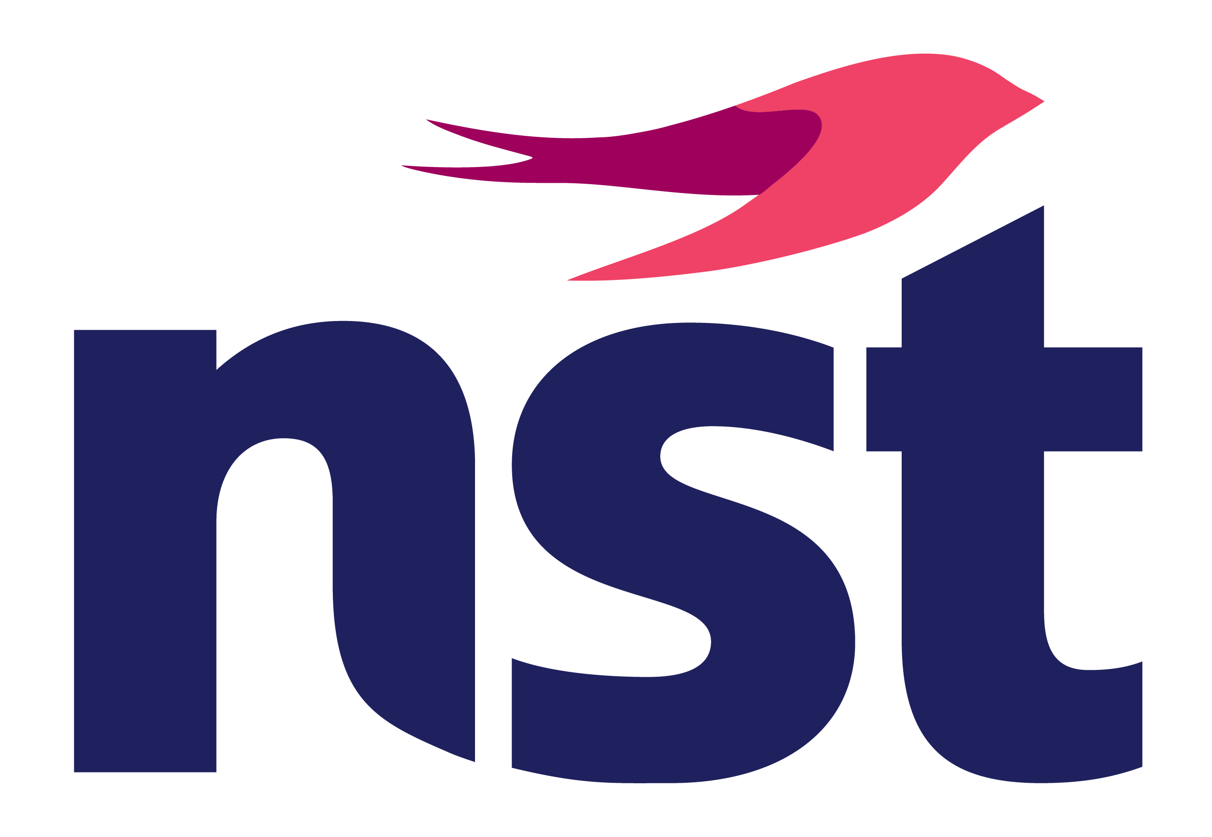 NST logo